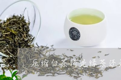 压缩白茶饼是绿茶还是红茶/2023040160502