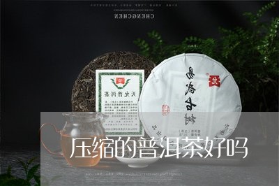 压缩的普洱茶好吗/2023040989595