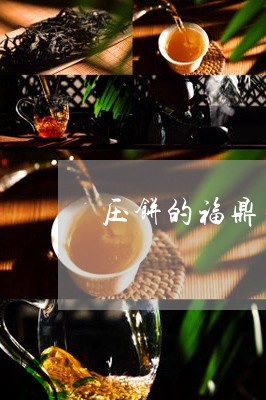 压饼的福鼎白茶属于红茶吗/2023040135037