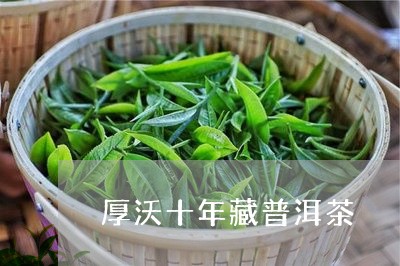 厚沃十年藏普洱茶/2023033049561