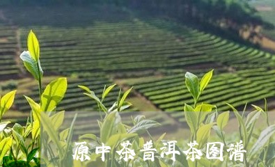 原中茶普洱茶图谱/2023041139481