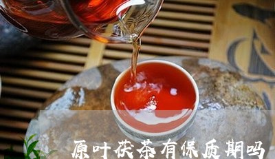 原叶茯茶有保质期吗/2023041579560