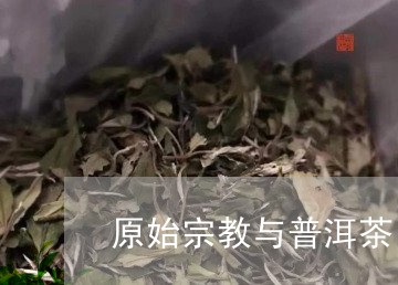 原始宗教与普洱茶/2023031785848