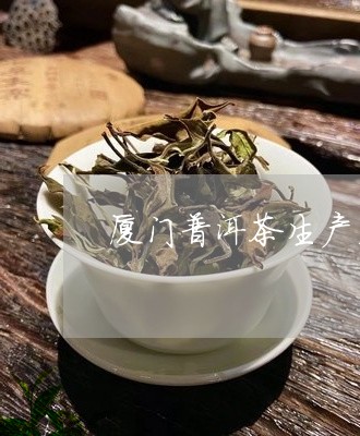 厦门普洱茶生产厂/2023031621704