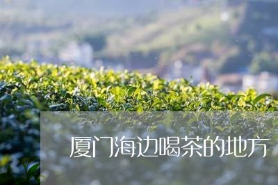 厦门海边喝茶的地方/2023032114137