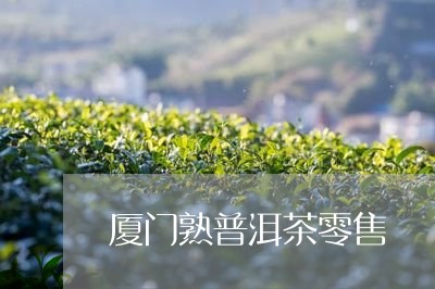 厦门熟普洱茶零售/2023041193925