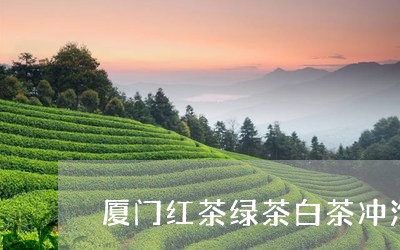 厦门红茶绿茶白茶冲泡方法/2023040266161