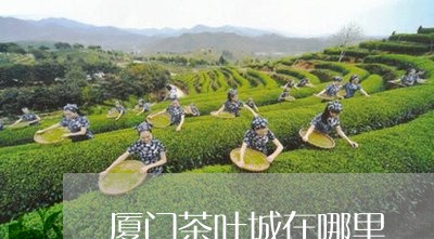 厦门茶叶城在哪里/2023032613815