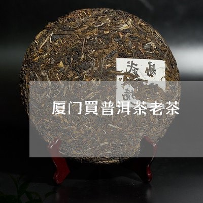 厦门買普洱茶老茶/2023041164716