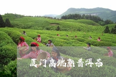 厦门高端熟普洱茶/2023041230693