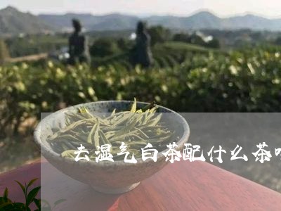 去湿气白茶配什么茶喝最好/2023040249502