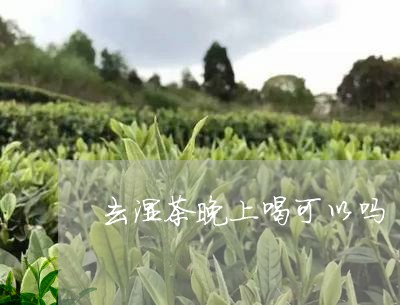 去湿茶晚上喝可以吗/2023041456946