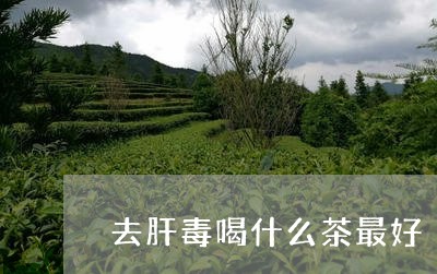 去肝毒喝什么茶最好/2023041521717