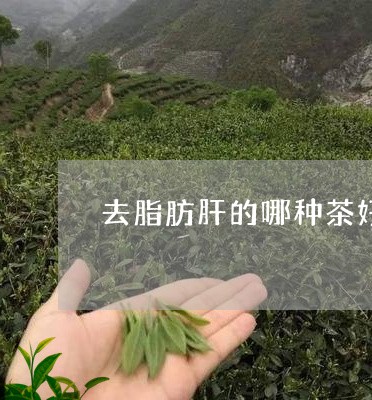 去脂肪肝的哪种茶好/2023041526157