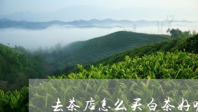 去茶店怎么买白茶好呢/2023040296289