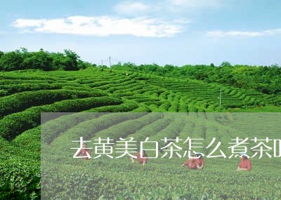 去黄美白茶怎么煮茶叶好喝/2023040269584