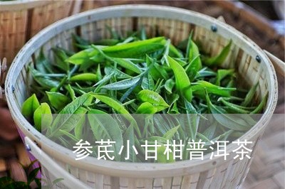 参茋小甘柑普洱茶/2023031674038