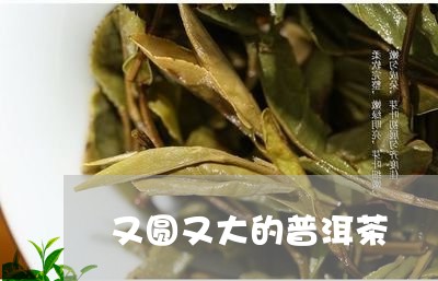 又圆又大的普洱茶/2023041336279