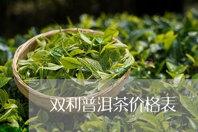 双利普洱茶价格表/2023031661717