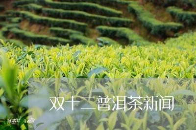 双十二普洱茶新闻/2023031732860