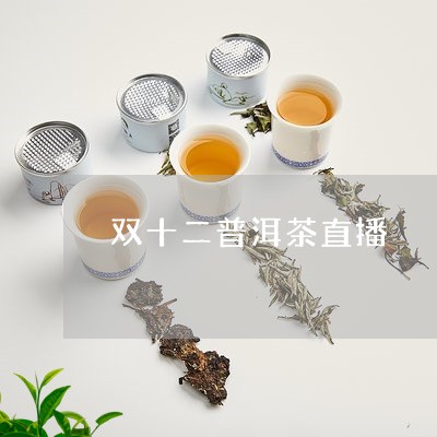 双十二普洱茶直播/2023031731916