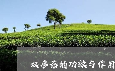 双参茶的功效与作用/2023032150804