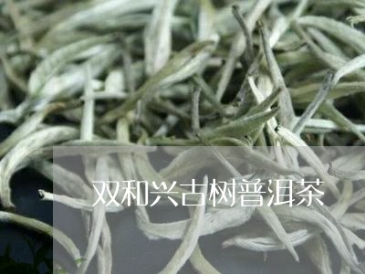 双和兴古树普洱茶/2023033022827