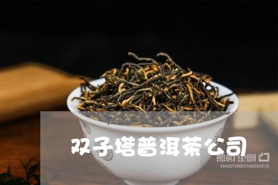 双子塔普洱茶公司/2023041292948