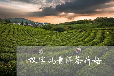 双字凤普洱茶价格/2023041475946