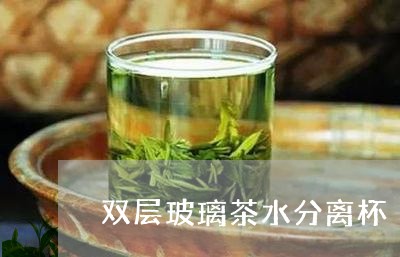 双层玻璃茶水分离杯/2023031938171