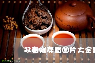 双春隆寿眉图片大全集欣赏/2023040228460