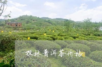 双林普洱茶价格/2023031776050