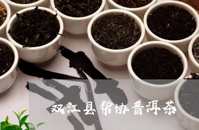 双江县帮协普洱茶/2023040103715