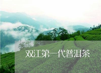 双江第一代普洱茶/2023033061715