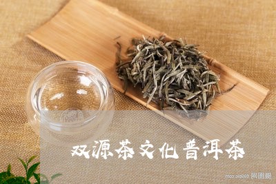 双源茶文化普洱茶/2023040180491