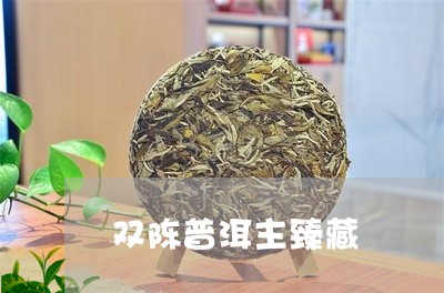 双陈普洱主臻藏/2023032907150