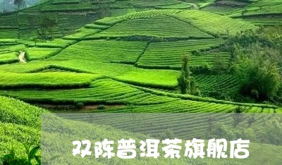 双陈普洱茶旗舰店/2023033182837