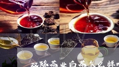 双隆茶业白茶怎么样喝好吗/2023040238714