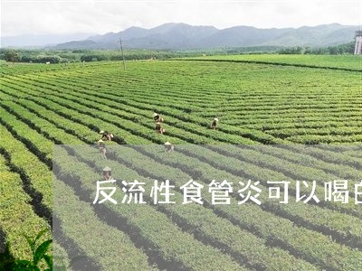 反流性食管炎可以喝白茶吗/2023040298471