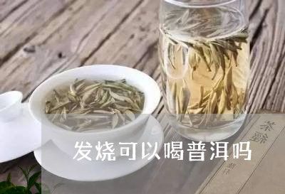 发烧可以喝普洱吗/2023032960515