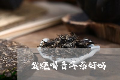 发烧喝普洱茶好吗/2023041035159