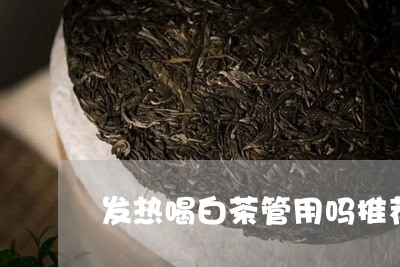 发热喝白茶管用吗推荐/2023040134827