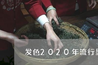 发色2020年流行显白茶/2023033030815