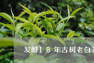 发酵18年古树老白茶价格/2023033168592