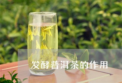 发酵普洱茶的作用/2023041051695