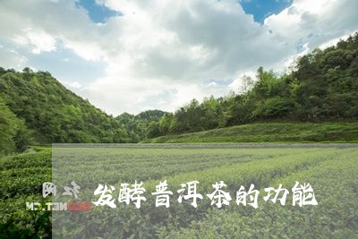 发酵普洱茶的功能/2023041219502