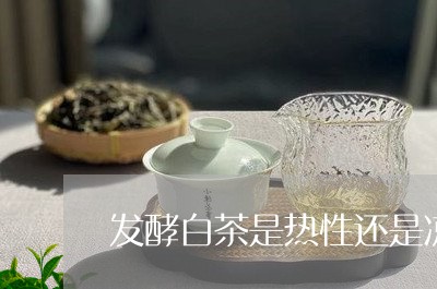 发酵白茶是热性还是凉性的/2023040185239