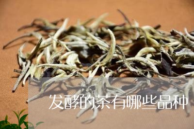 发酵的茶有哪些品种/2023041787260