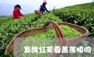 发酵红茶要盖薄膜吗/2023031971706