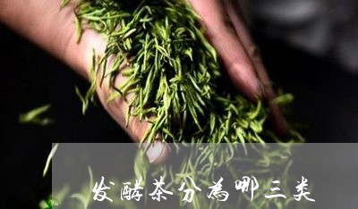 发酵茶分为哪三类/2023032470827